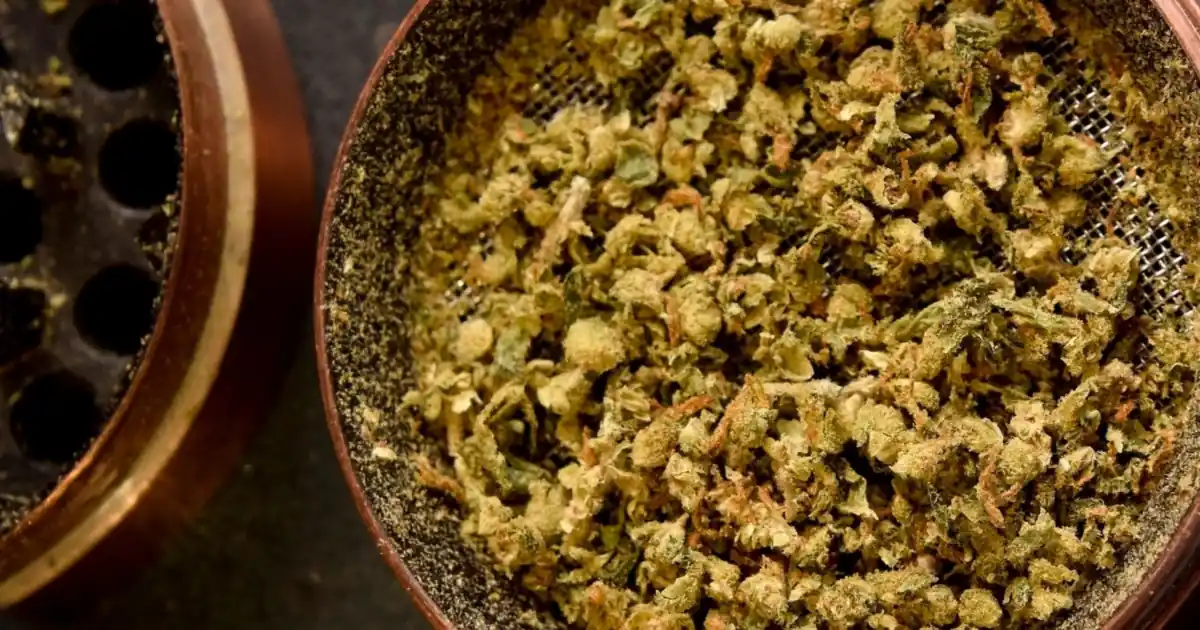 Ground flower in an open grinder