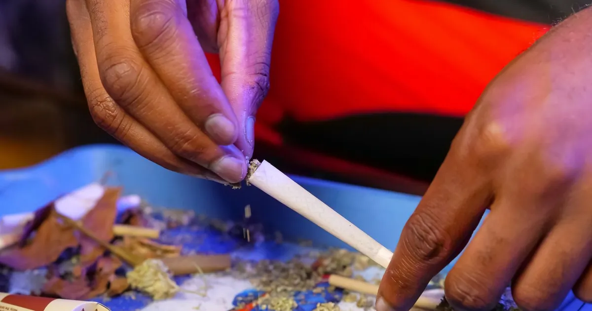 Hands filling a rolling paper on a blue tray