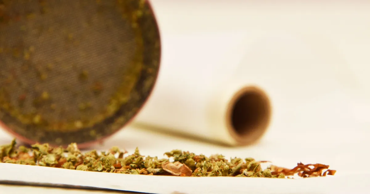 Ground flower mixed with tobacco on a rolling paper, with a grinder behind it